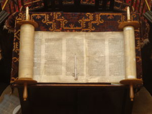 Open Torah Scrolll